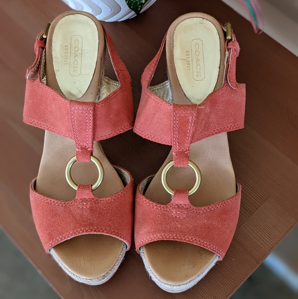 Coach Valeaan Suede Sandals
